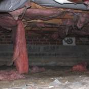 #10 Crawlspace Before - Mold infested insulation is a health hazard.